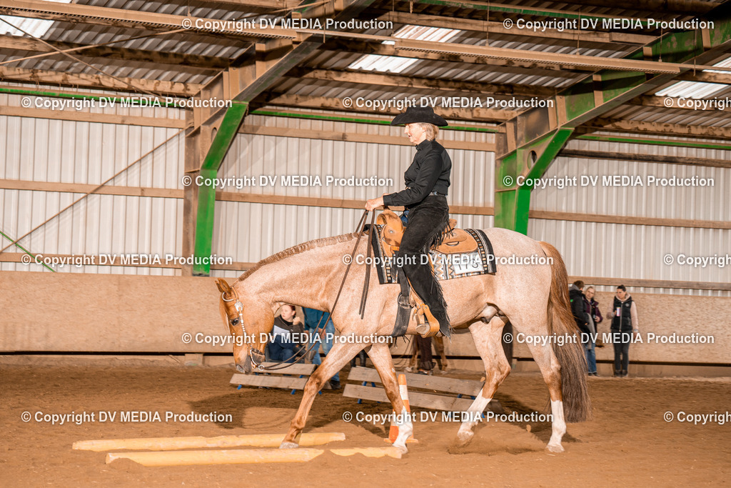 BA400103 | dv-media-shop - Realisiert mit Pictrs.com