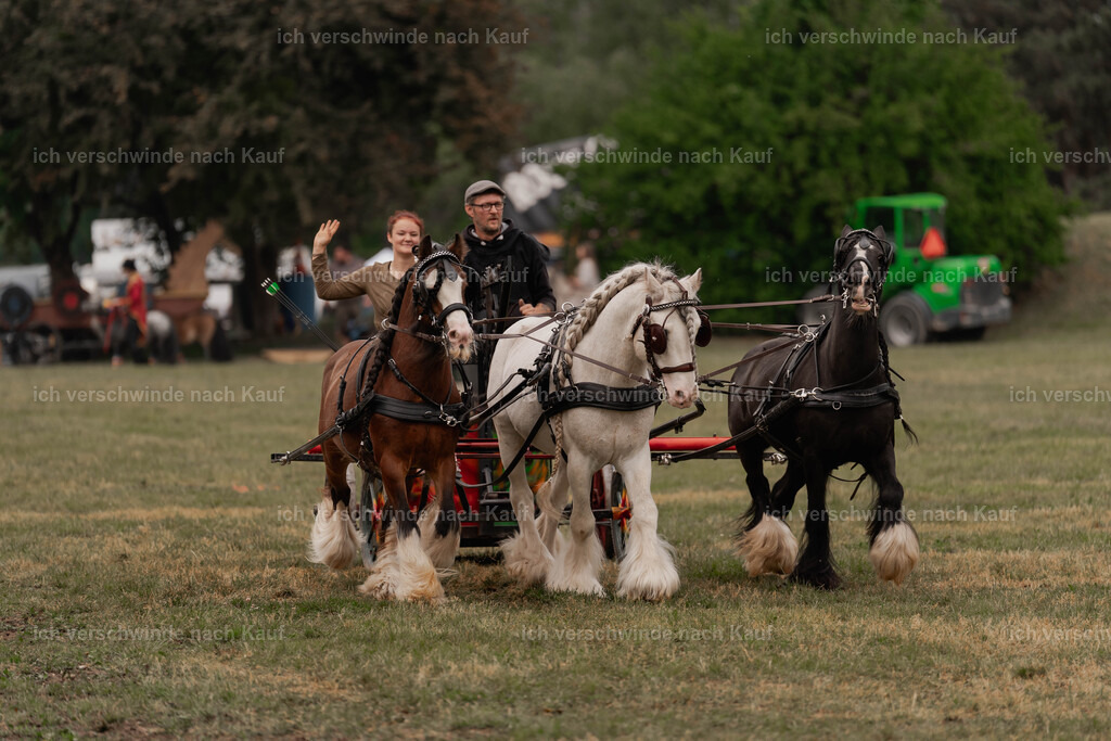 Showprogramm-209 | working equitationturnier fotograf videograf stoibphotography marixx film working equitation deutschland reitsport turnierfotografie eventfotografie equestrian events