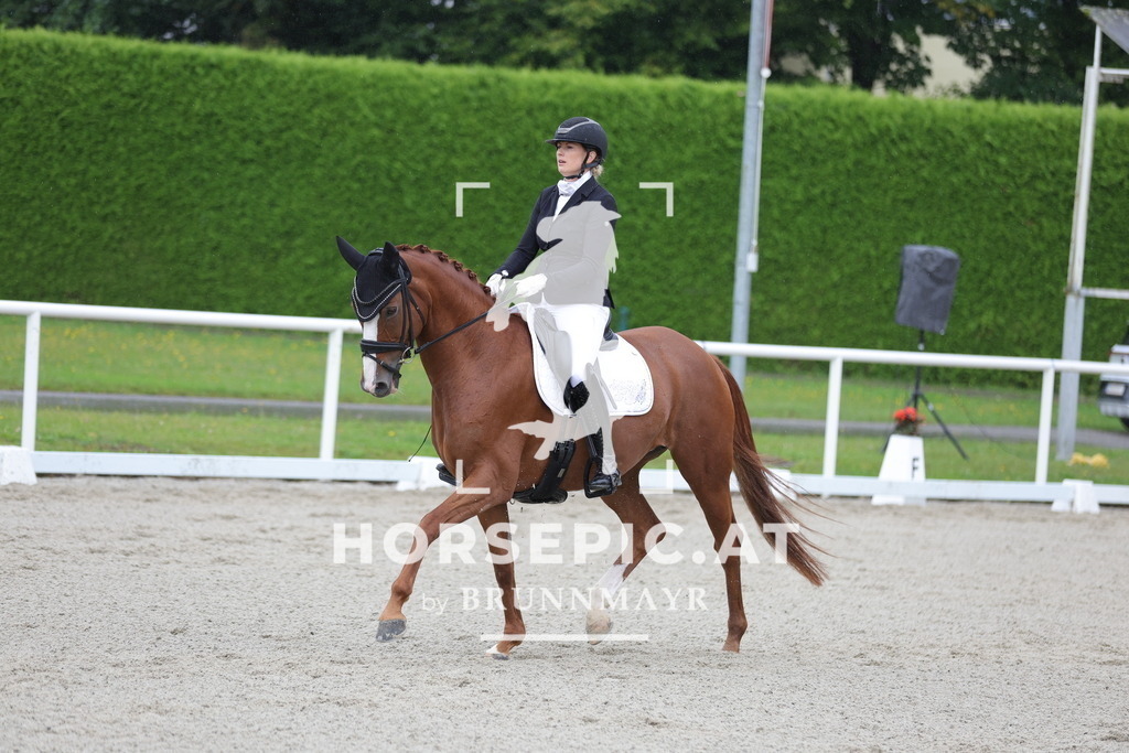 0P6A0111 | Willkommen bei Brunnmayr - Design & Fotografie – Ihrem Spezialisten für Reitturniere und Pferdeveranstaltungen in Oberösterreich, Salzburg und Bayern! Seit über 17 Jahren sind wir leidenschaftlich dabei.