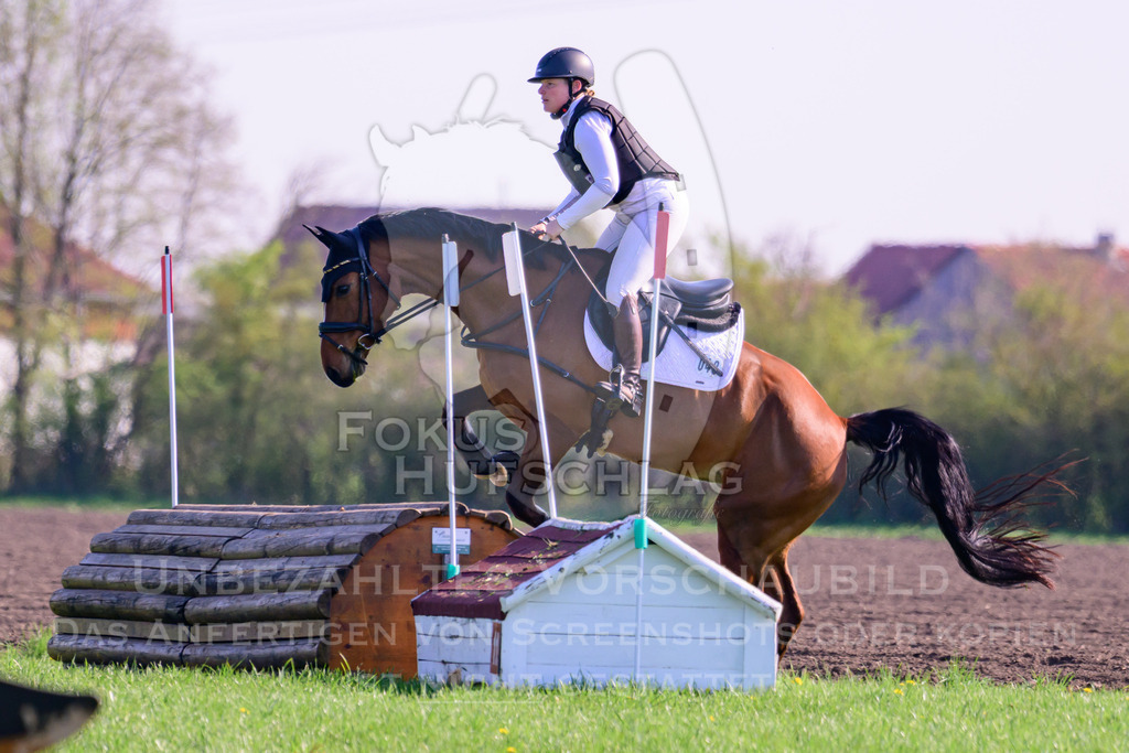 18042026-Gernlinden-03-0010 | Fokus Hufschlag Fotografie - Realisiert mit Pictrs.com