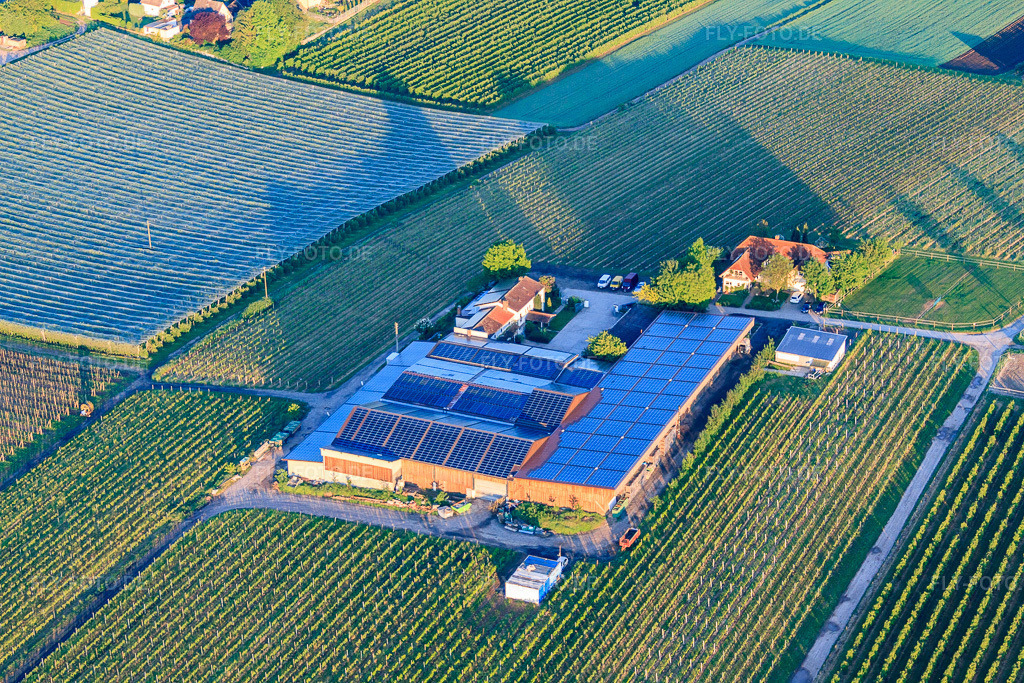 Luftbild: Gertrudenhof in Impflingen im Bundesland Rheinland-Pfalz in Deutschland. Foto: IMG_64560.jpg vom 04.05.2014 durch Werner Riehm/FLY-FOTO.deWein | Weinhaus Pfaffmann | Impflingen