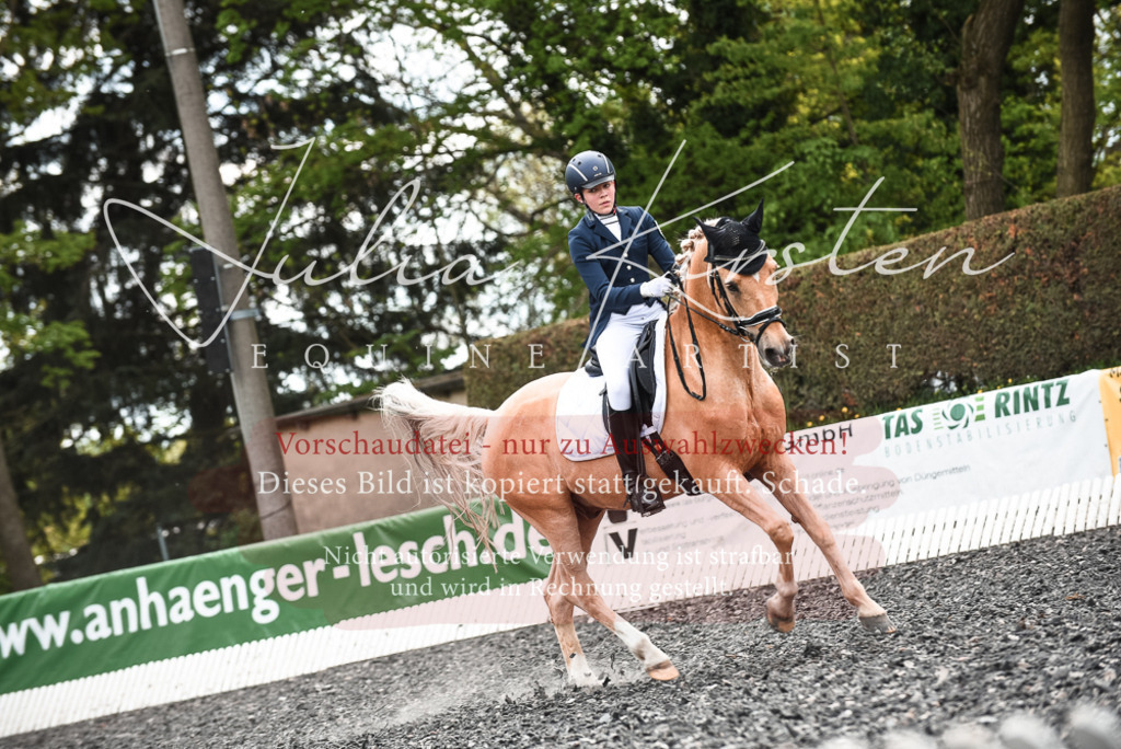 20230514_JK-Röhrsdorf-24-438 | Pferde- und Turnierfotografie in Westsachsen. Pferdeportraits, Auftragszeichnungen und intuitive Kunst.