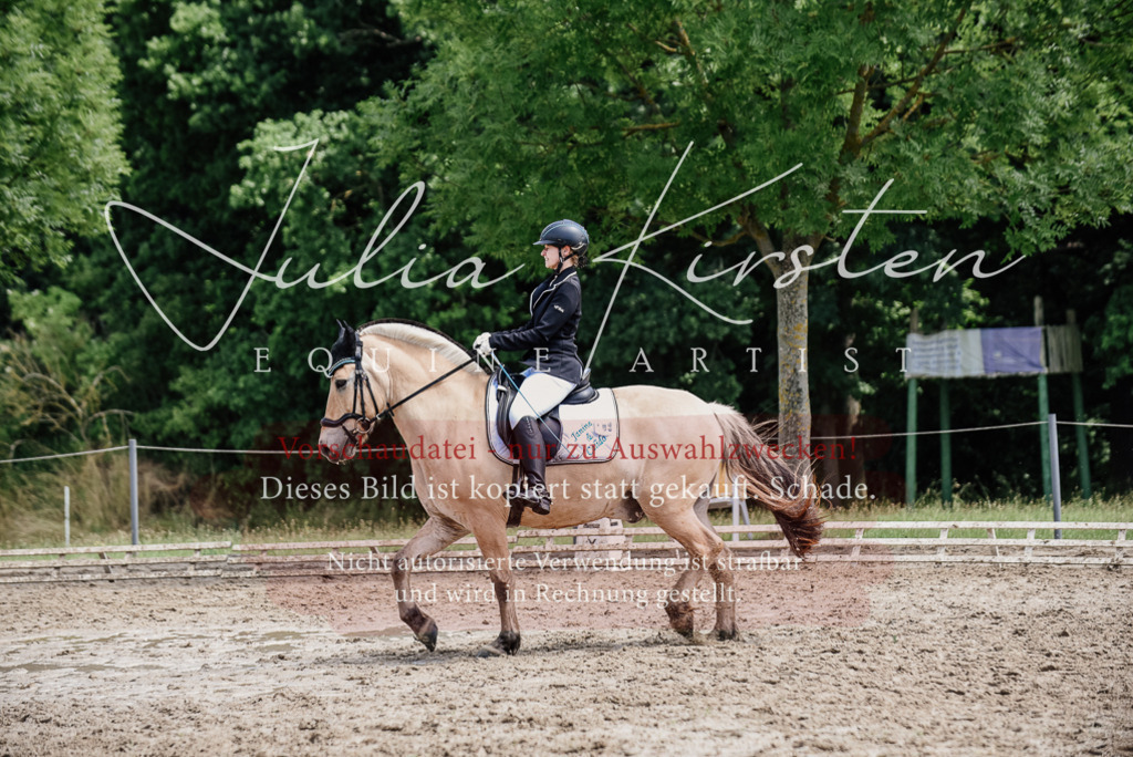 DSC_1642 | Pferde- und Turnierfotografie in Westsachsen. Pferdeportraits, Auftragszeichnungen und intuitive Kunst.