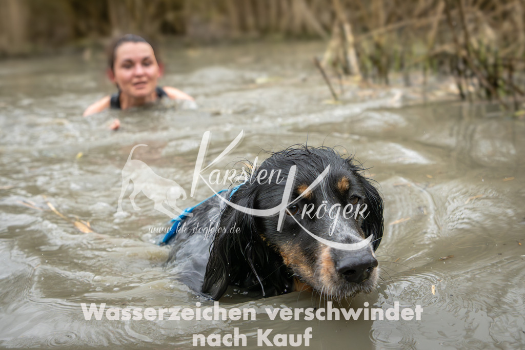 1244_ZZ90108 | kk-dogfotos