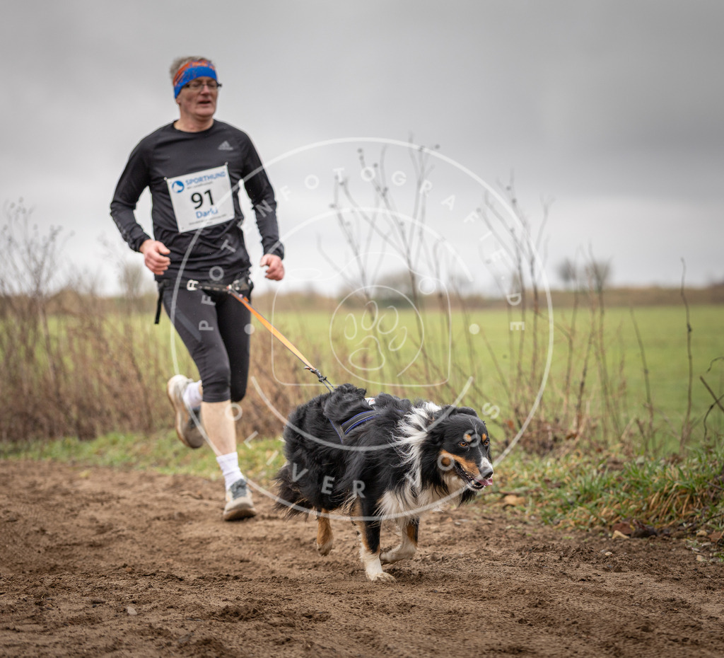 DV3A9998 | Hundefotografie, Tierfotograf, Pfotenfotografie, Fotoshooting Hund, Hunde Portrait, Hundesport, Hundeportraits, Heideshooting, Hunde, Sportfotograf, Hundefotograf, Turnierhundsport, THS,  - Realisiert mit Pictrs.com