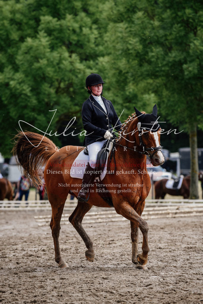 DSC_0682 | Pferde- und Turnierfotografie in Westsachsen. Pferdeportraits, Auftragszeichnungen und intuitive Kunst.
