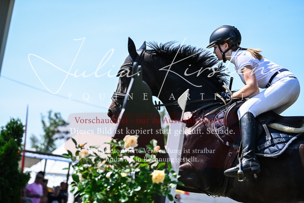DSC_1025 | Pferde- und Turnierfotografie in Westsachsen. Pferdeportraits, Auftragszeichnungen und intuitive Kunst.