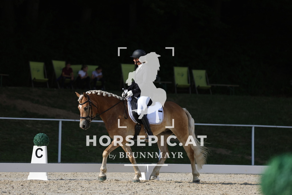 0P6A9978 | Willkommen bei Brunnmayr - Design & Fotografie – Ihrem Spezialisten für Reitturniere und Pferdeveranstaltungen in Oberösterreich, Salzburg und Bayern! Seit über 17 Jahren sind wir leidenschaftlich dabei.