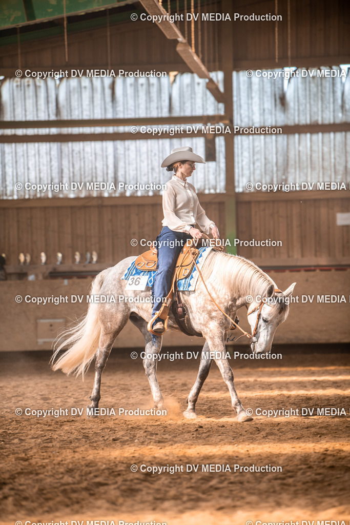 Balingen Tag 1-320 | dv-media-shop - Realisiert mit Pictrs.com