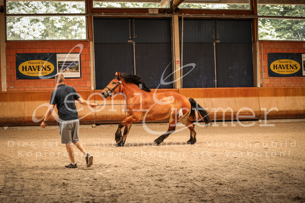 SaFL00027 | Leoni Ertmer Photography - Realisiert mit Pictrs.com