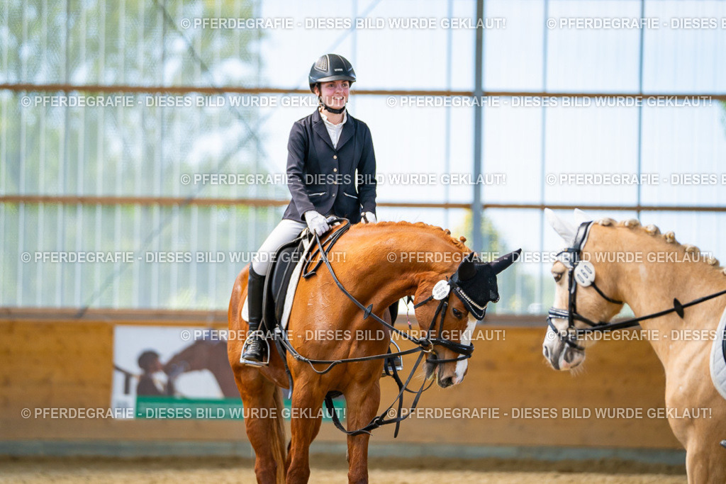 DSC09559 | Pferdegrafie