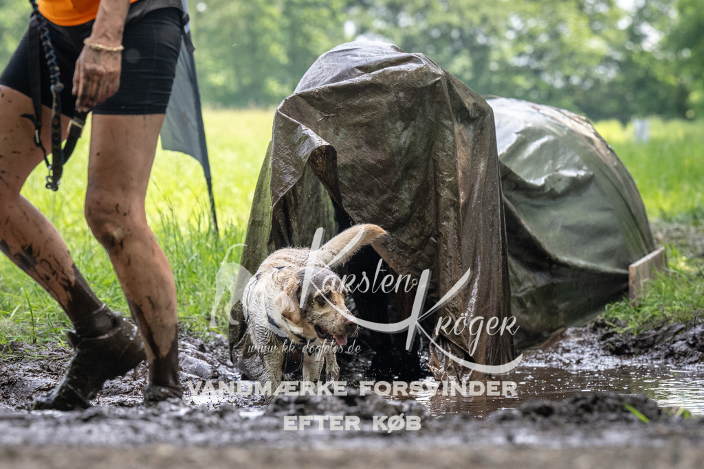 1212_ZZ91688 | kk-dogfotos