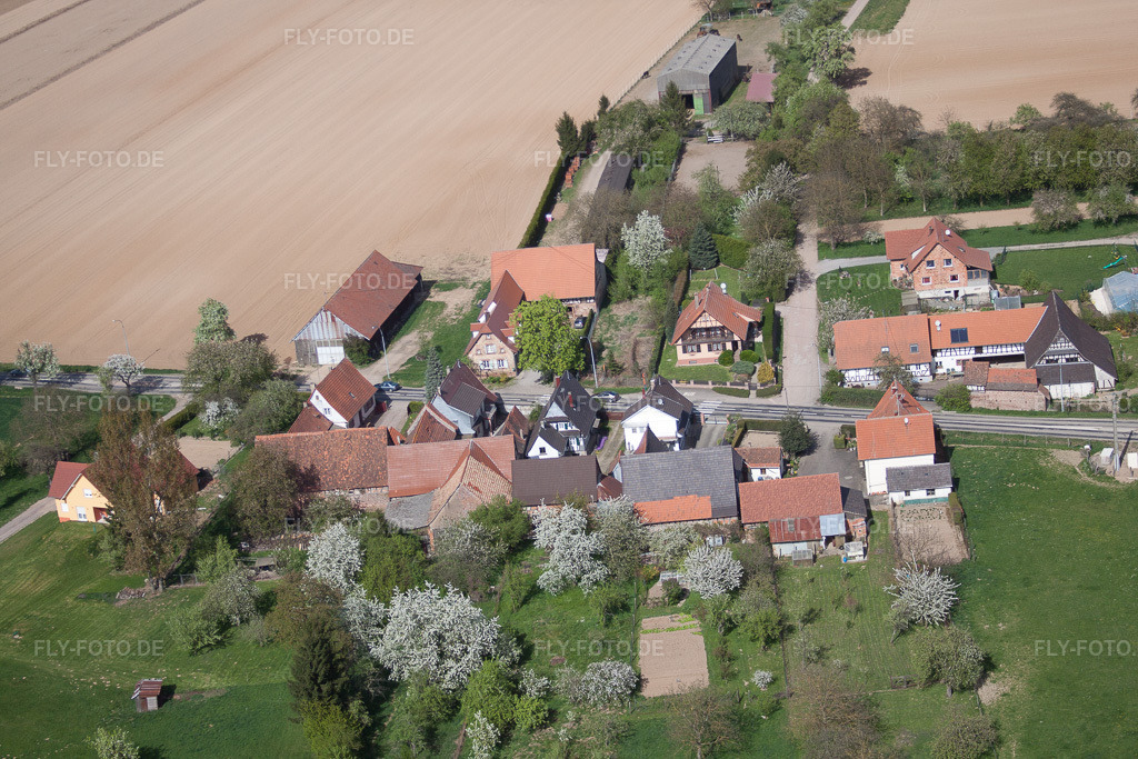 Luftbild: Ortsteil Frohnackerhof in Seebach im Bundesland Bas-Rhin in Frankreich. – Foto: IMG_39452.jpg vom 10.04.2011 durch Werner Riehm/FLY-FOTO.de – Auflösung des Originals: 4752 x 3168 px
