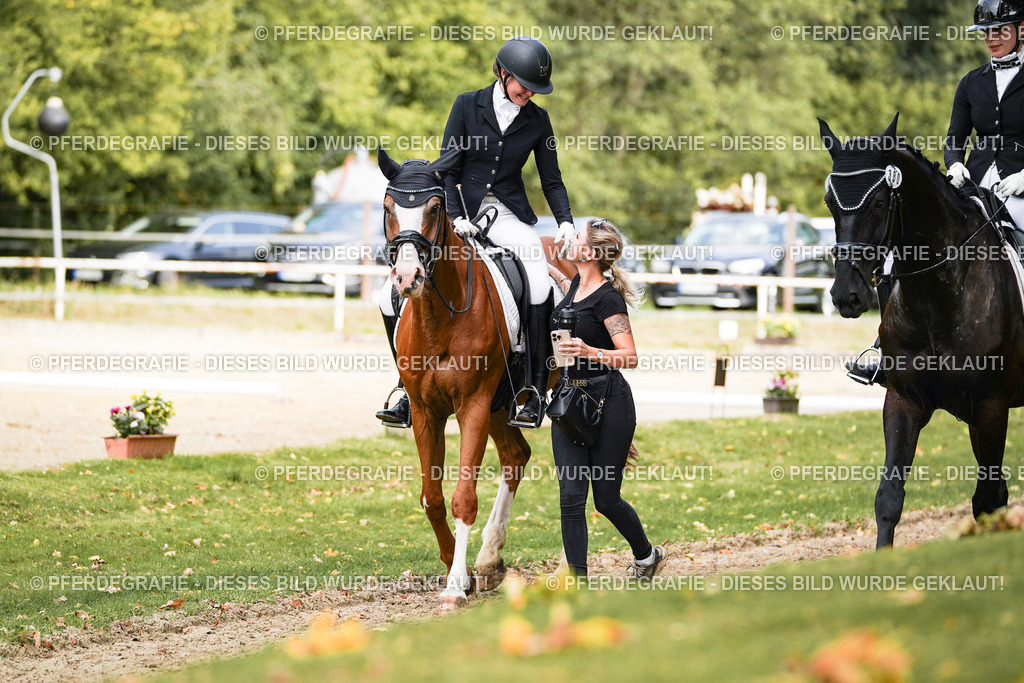 DSC03358 | Pferdegrafie