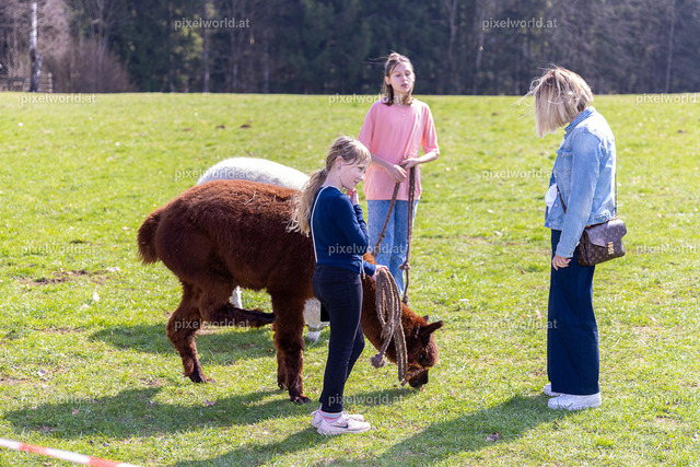 Ostermarkt in Steuerberg | Bildershop von pixelworld.at - Realisiert mit Pictrs.com