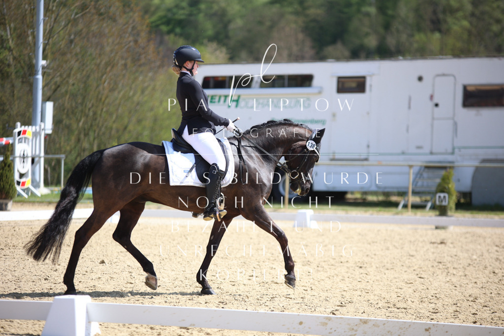 IMGT7242 | pl-fotografie