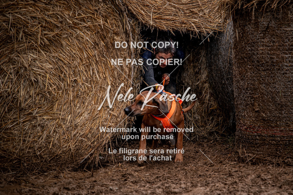nelerasche_Hunsrück_So09-11_138 | nelerasche