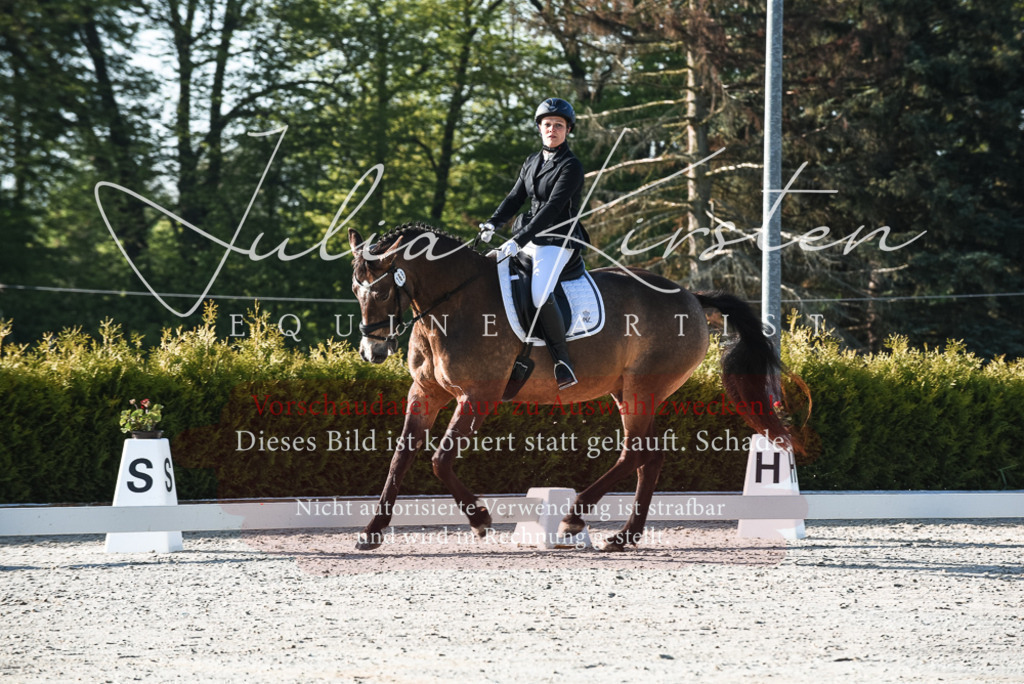 20230518_JK-Röhrsdorf-09-0049 | Pferde- und Turnierfotografie in Westsachsen. Pferdeportraits, Auftragszeichnungen und intuitive Kunst.