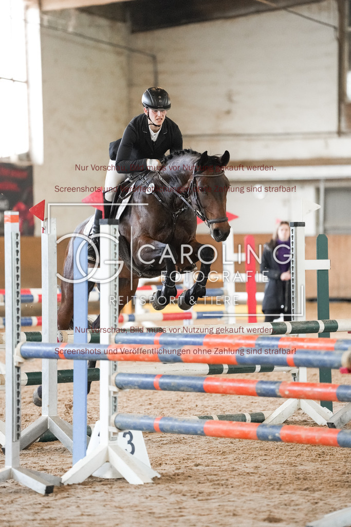 DSC09984 | Reitturnier_Göppingen_April_2026, Julia_Frank, Frieda 432