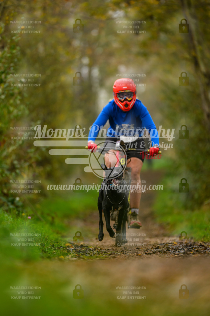 MompixPhotography_20TSB_E6_Bike-143 | PayLife