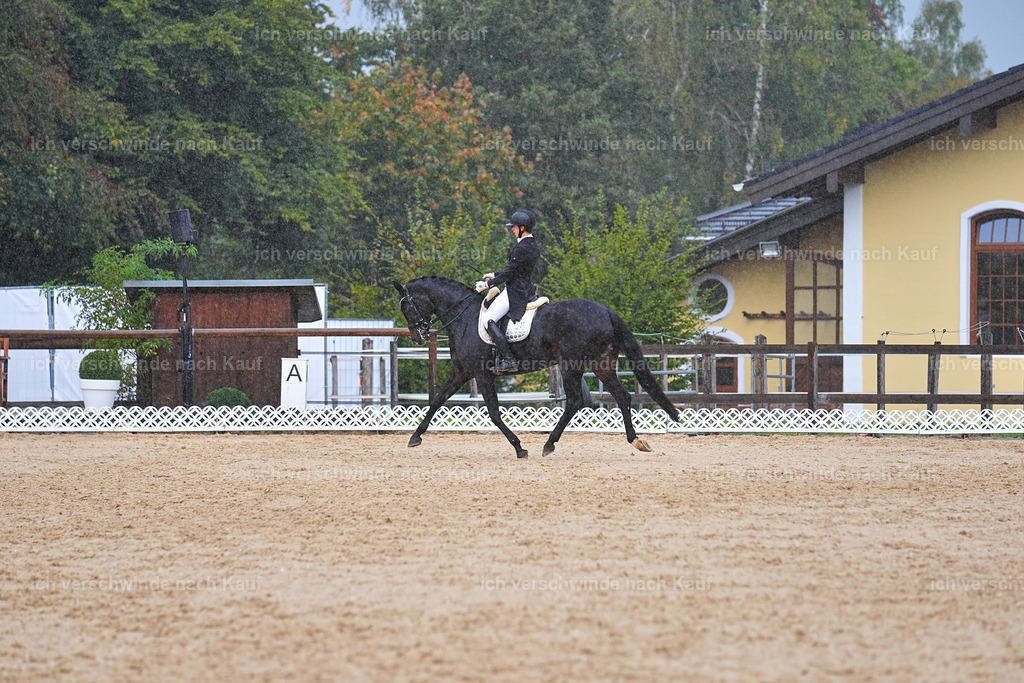 8_1-027-Klasse S_  -Marixx-4382 | working equitationturnier fotograf videograf stoibphotography marixx film working equitation deutschland reitsport turnierfotografie eventfotografie equestrian events