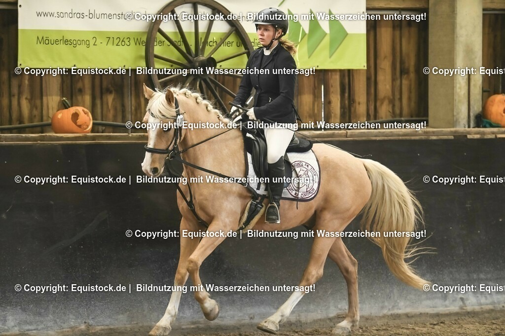 03_Reiter-WB_0087 | Foto: Thomas Hartig