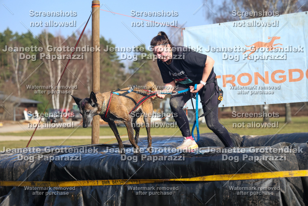 Dog Paparazzi - Strongdog North Mrz26-3209 | Dog Paparazzi Jeanette Grottendiek Fotografie & Videografie - Realisiert mit Pictrs.com