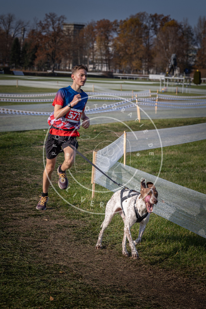 CaniXpix_0L8A9511 | Hundefotografie, Tierfotograf, Pfotenfotografie, Fotoshooting Hund, Hunde Portrait, Hundesport, Hundeportraits, Heideshooting, Hunde, Sportfotograf, Hundefotograf, Turnierhundsport, THS,  - Realisiert mit Pictrs.com