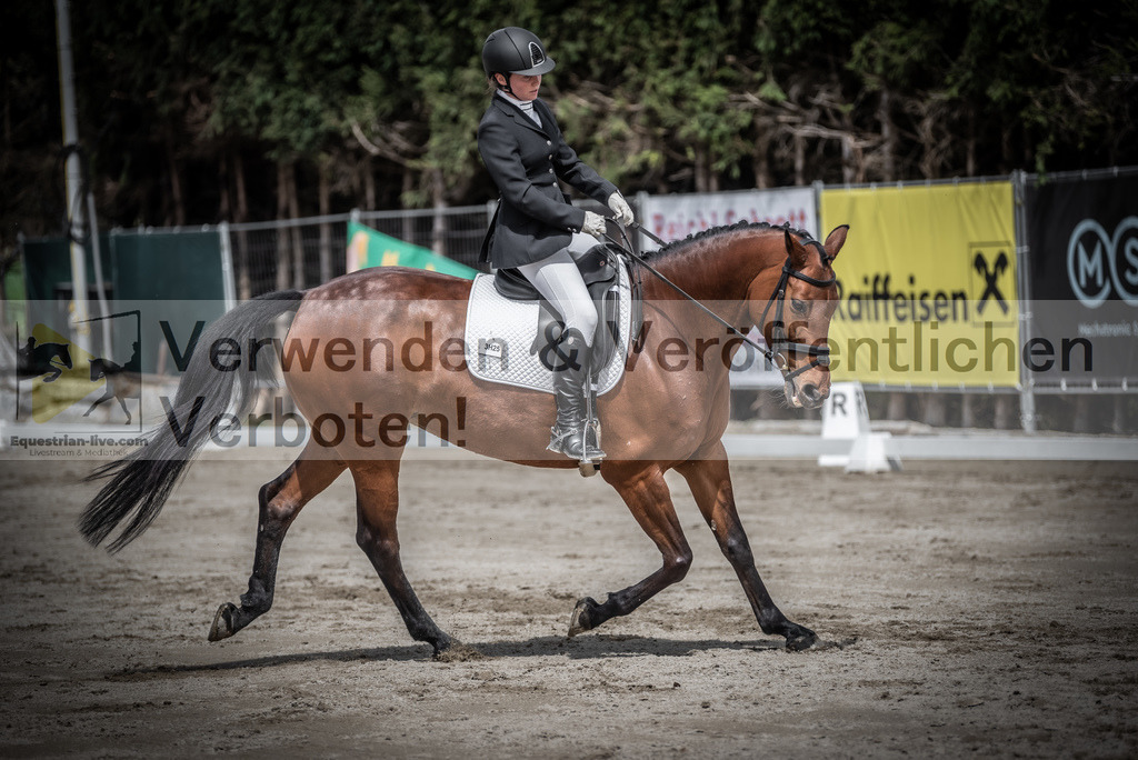 DSC_2415 | equestrian-live-com