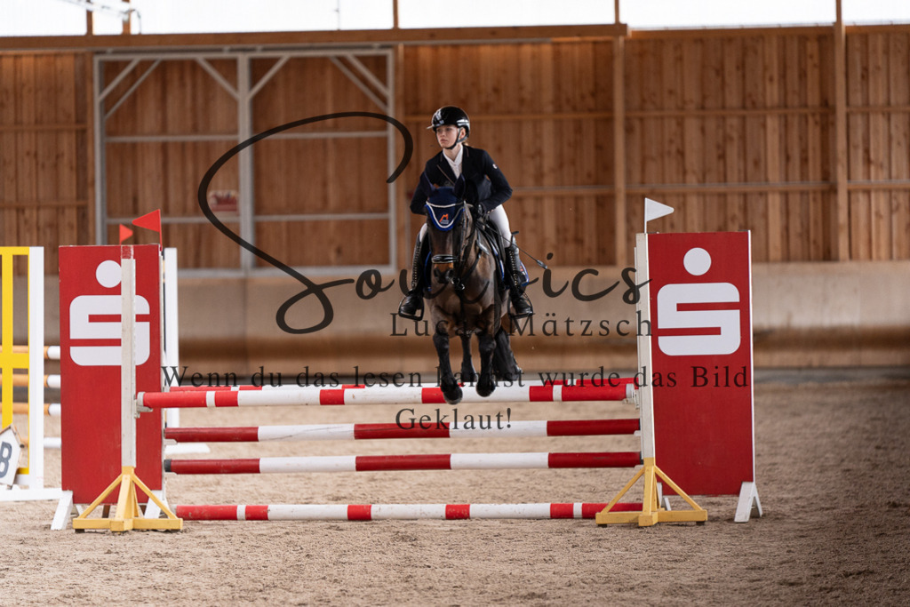 A7507856 | Pferdefotograf