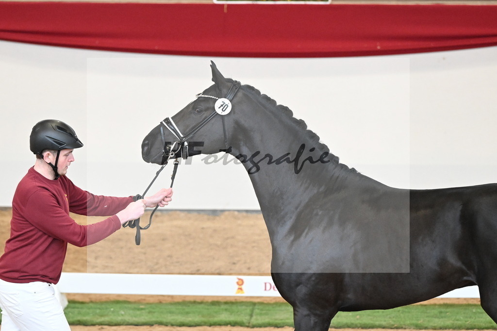 Kat.-Nr. 70 v. Iron_Klausing_2250520 | hf-fotografie - Realisiert mit Pictrs.com