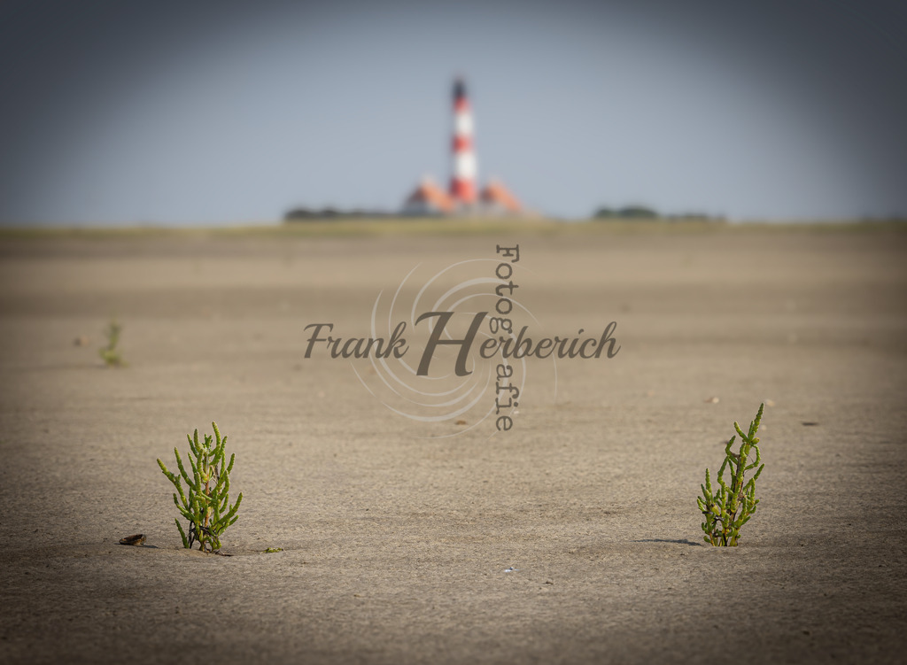St. Peter Ording | Frank Herberich Fotografie, Frank Herberich, Fotografie, Hochzeit, Portrait, St. Peter Ording, Ording, Westerhever, Nordsee, Frank Fotografie, Hardheim,  Odenwald,Walldürn, Band,Eventfotografie - Realisiert mit Pictrs.com