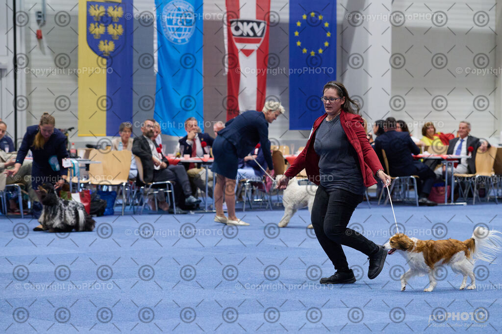 202406_ÖKV-IHA-Tulln24_DSC_3190 | proPHOTO - Realisiert mit Pictrs.com