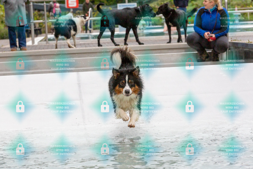 _HP_7429_1000o | HetPix, HetPix Fotodesign, Fotografie, Fotodesign, Webshop, Sportfotografie, Portraitfotografie, Onlineshop, Sportfotografie, Polch, Motorsportfotografie, Eventfotografie