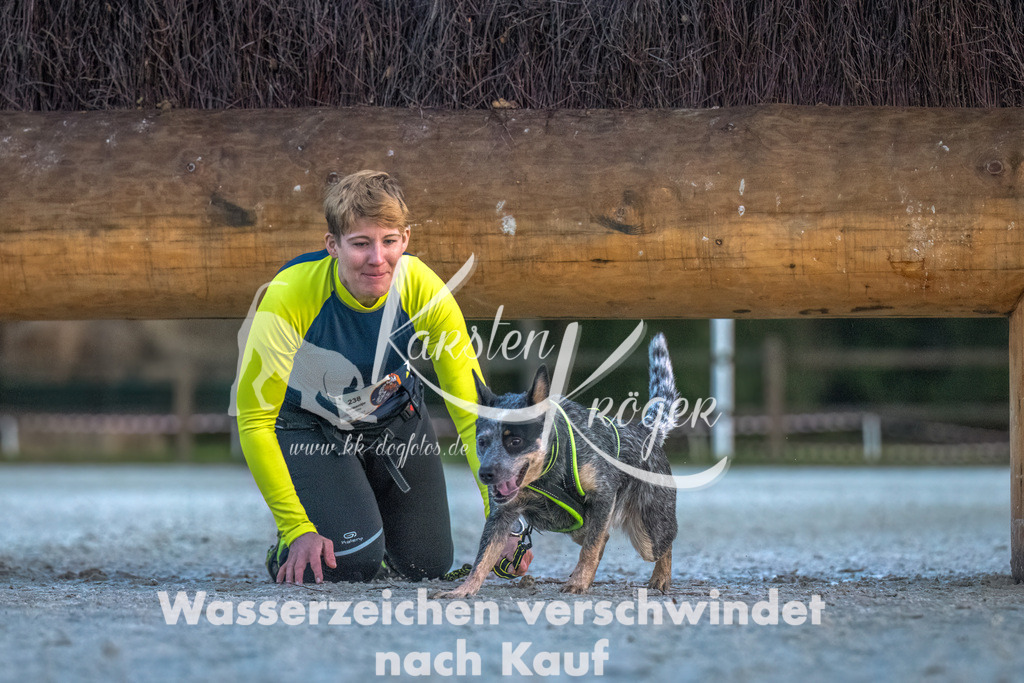 0808-00069 | kk-dogfotos