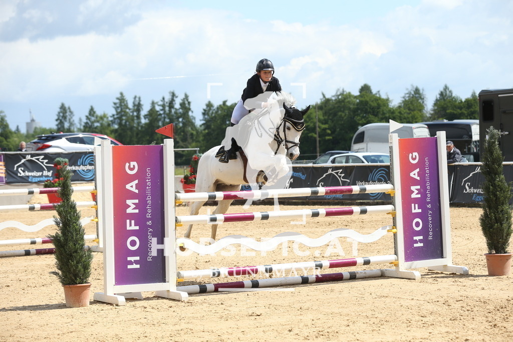 DL2Q1776 | Willkommen bei Brunnmayr - Design & Fotografie – Ihrem Spezialisten für Reitturniere und Pferdeveranstaltungen in Oberösterreich, Salzburg und Bayern! Seit über 17 Jahren sind wir leidenschaftlich dabei.