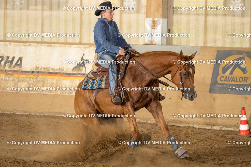 LAU01698 | dv-media-shop - Realisiert mit Pictrs.com