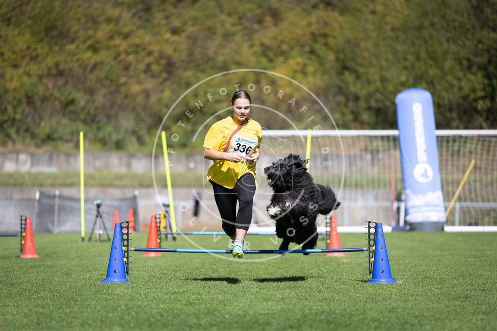 Pfotenfotografie_DV3A5559 | Hundefotografie, Tierfotograf, Pfotenfotografie, Fotoshooting Hund, Hunde Portrait, Hundesport, Hundeportraits, Heideshooting, Hunde, Sportfotograf, Hundefotograf, Turnierhundsport, THS,  - Realisiert mit Pictrs.com