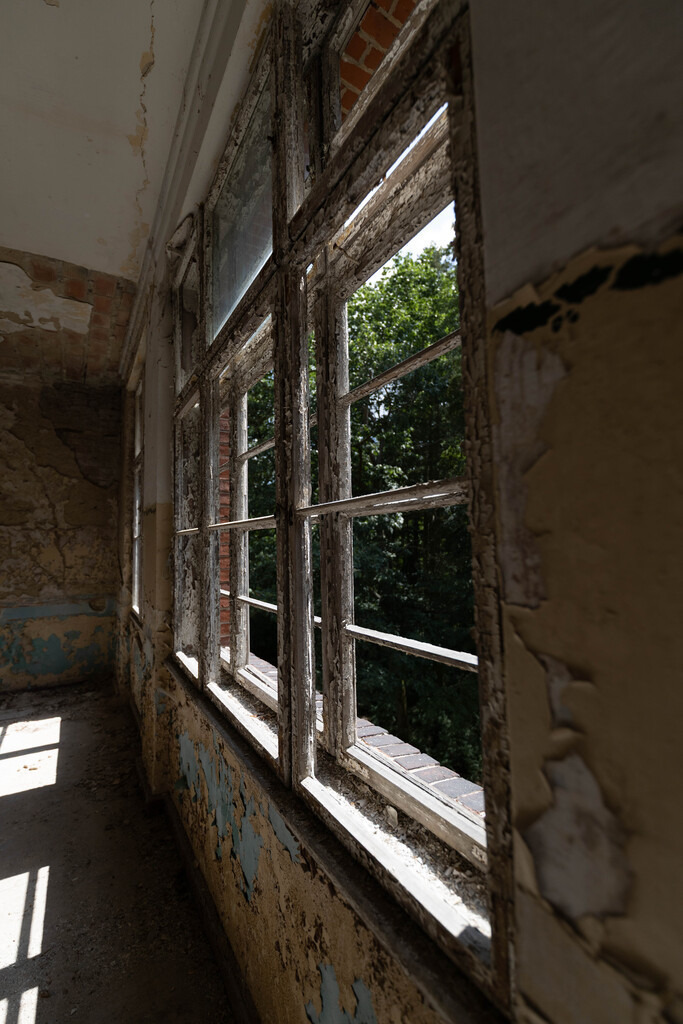 Gabrowsee (28) | hgt-foto