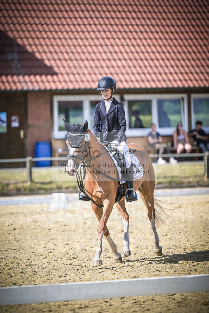 DOS_8197 | Entdecke hochwertige Reitturnierfotos von Foto Oger. Professionell, emotional und authentisch – jetzt Lieblingsmomente im Shop bestellen.Deutschlandweite Turnierfotografie. - Realisiert mit Pictrs.com