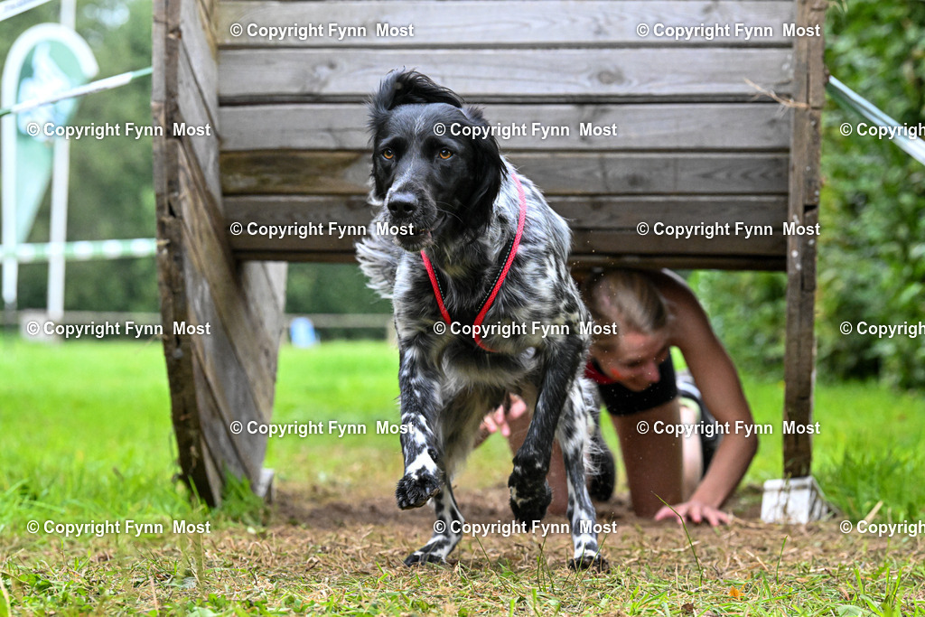 DSC_9683 | Hallo und herzlich Willkommen auf meiner Shop-Seite Fynn Most.

Ich wünsche Dir viel Spaß beim stöbern durch die Bilder, wenn Du Fragen hast oder Bilder vermisst, kannst du mir gerne eine Nachricht schreiben. - Realisiert mit Pictrs.com