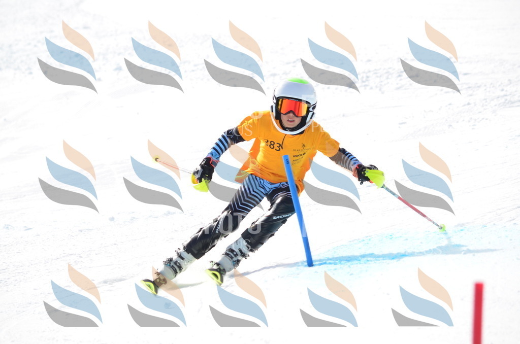 C8352 | holidayphoto