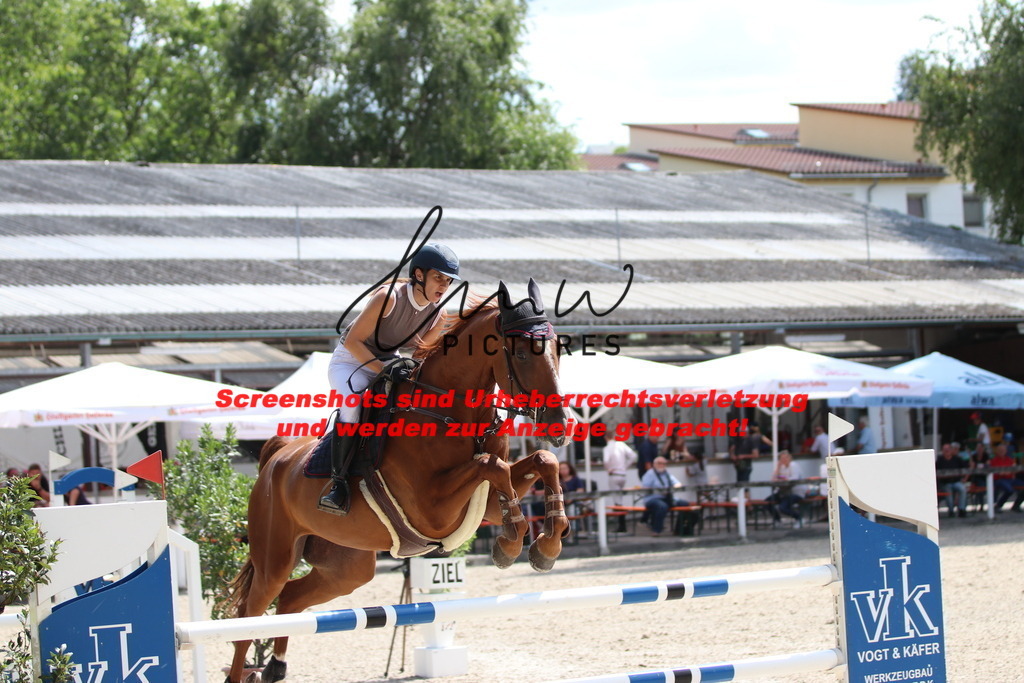 IMG_0426 | lmwpictures - Realisiert mit Pictrs.com