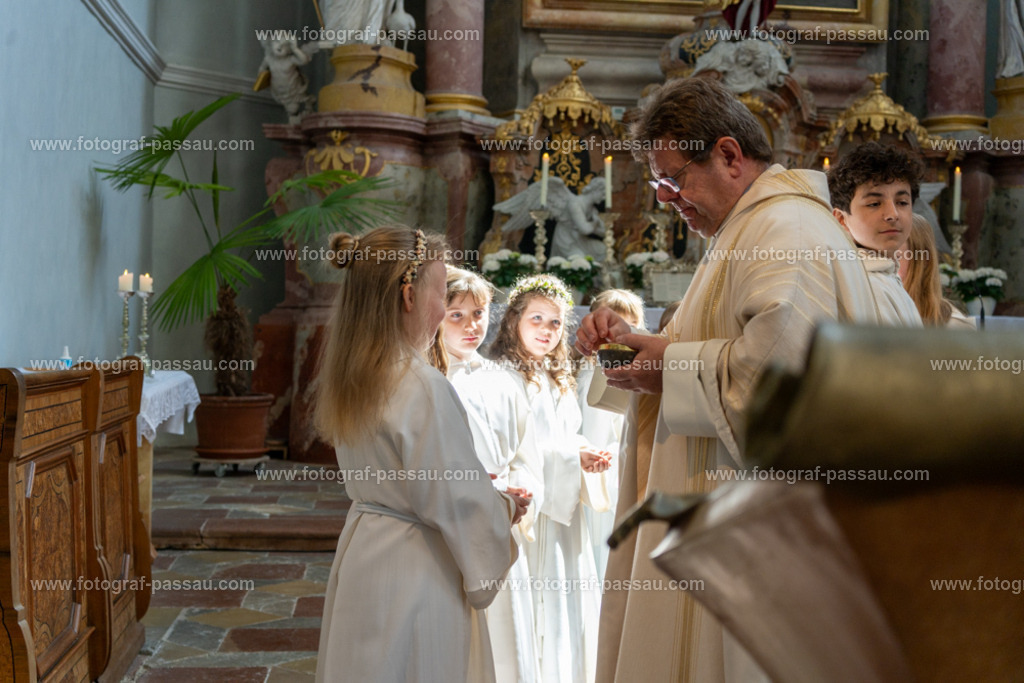 A7V02818 | Hier finden Sie die Online Foto-Galerie von fotograf-passau.com und marius-handrugan.de. Suchen Sie sich direkt Ihre Lieblingsbilder aus, ob als Ausdruck oder Download. - Realisiert mit Pictrs.com