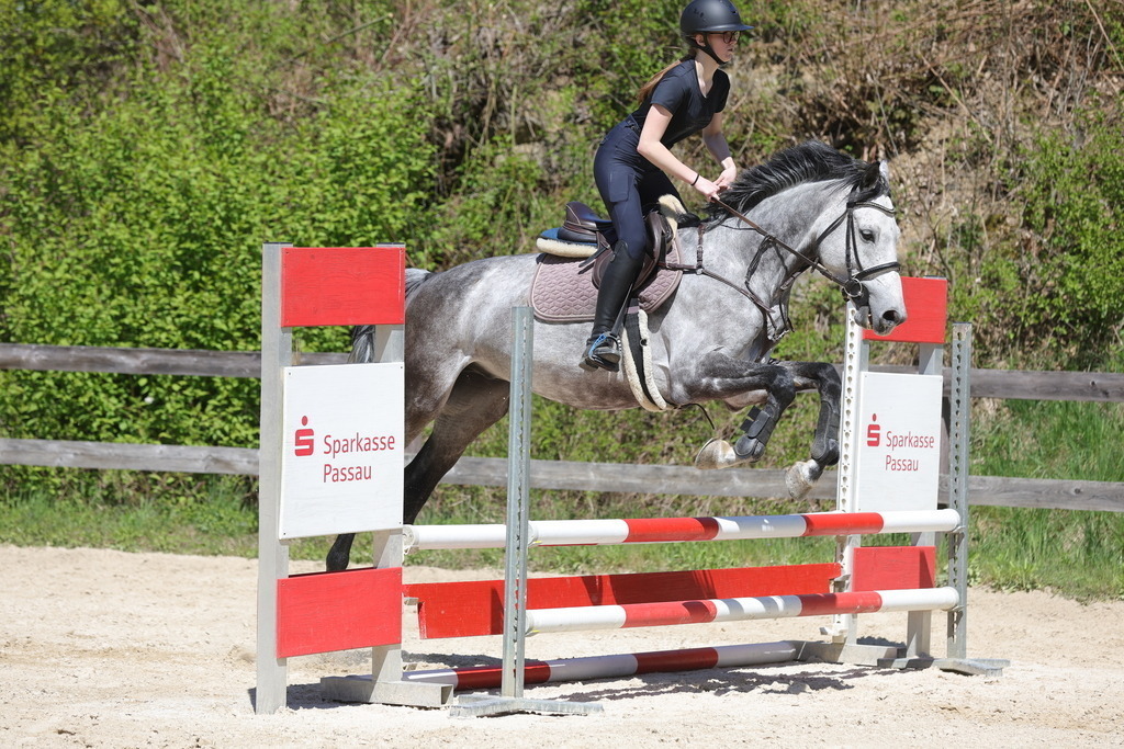 0P6A8882 | Willkommen bei Brunnmayr - Design & Fotografie – Ihrem Spezialisten für Reitturniere und Pferdeveranstaltungen in Oberösterreich, Salzburg und Bayern! Seit über 17 Jahren sind wir leidenschaftlich dabei.