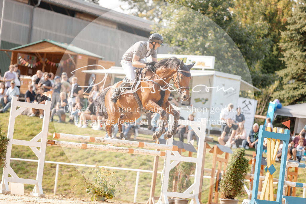 3I6A4936 | Stimmungsvolle Portraits und Reitsportfotografie im Ruhrgebiet und im Münsterland.

Pferdefotografie, Hundefotografie, Tierfotografie, Reportagen, Portraits von Tier und Mensch, Turnierfotografie in Bochum, Recklinghausen, Marl, Haltern am See, Dülmen.. - Realisiert mit Pictrs.com