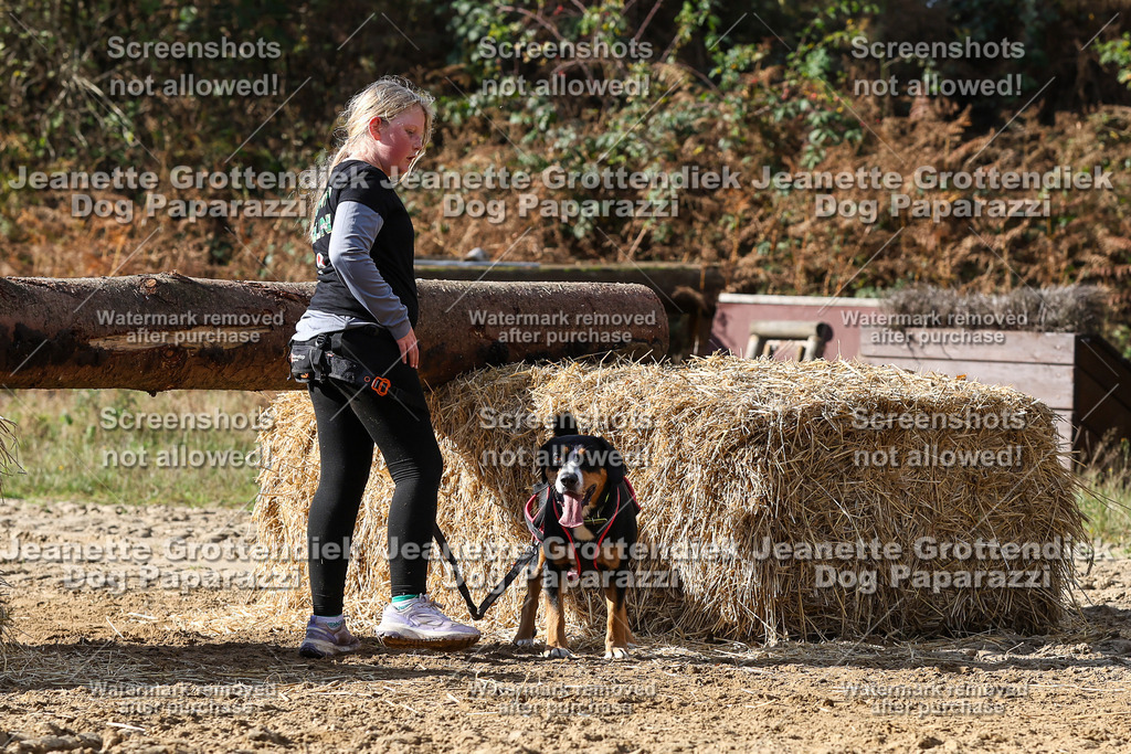 Dog Paparazzi - Strongdog 10-25-4937 | Dog Paparazzi Jeanette Grottendiek Fotografie & Videografie - Realisiert mit Pictrs.com