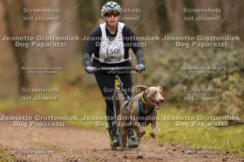 Dog Paparazzi - Speedhunter Mannheim  2025-417 | Dog Paparazzi Jeanette Grottendiek Fotografie & Videografie