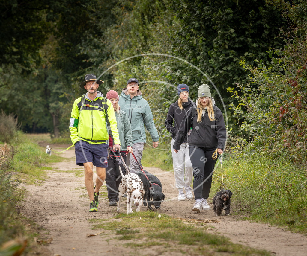 Pfotenfotografie_DV3A8094 | Hundefotografie, Tierfotograf, Pfotenfotografie, Fotoshooting Hund, Hunde Portrait, Hundesport, Hundeportraits, Heideshooting, Hunde, Sportfotograf, Hundefotograf, Turnierhundsport, THS,  - Realisiert mit Pictrs.com