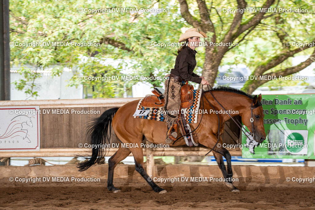 Erbach Tag 1-754 | dv-media-shop - Realisiert mit Pictrs.com